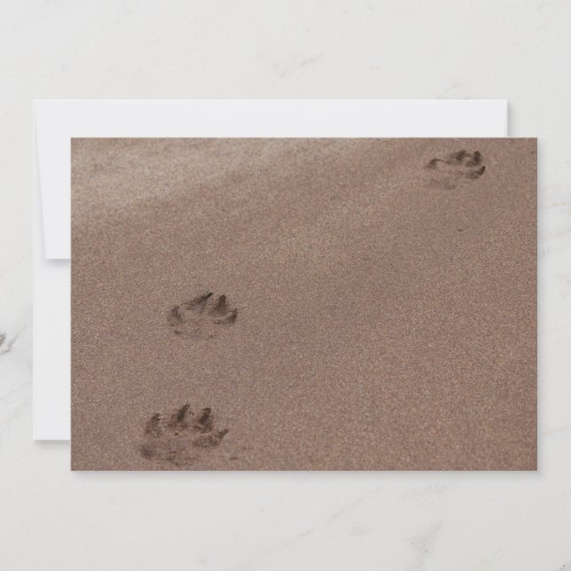 Paw Prints in the Sand Invitation (Front)