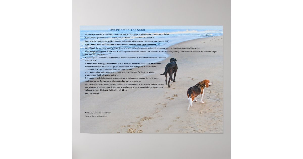 Paw Prints in The Sand Poster Zazzle
