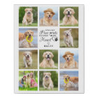 Paw Prints My Heart Pet Memorial 11 Photo Collage