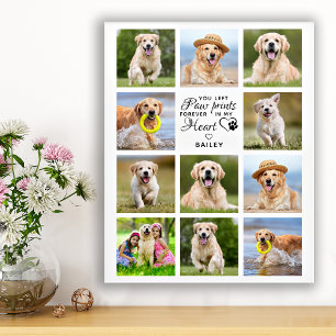 Paw Prints My Heart Pet Memorial 11 Photo Collage Acrylic Print