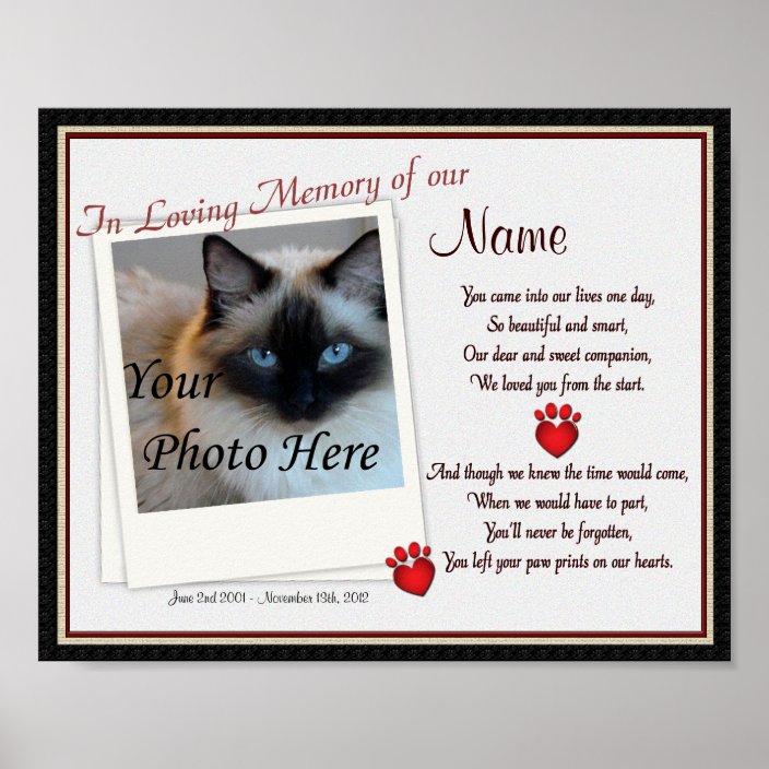 my pet memorial