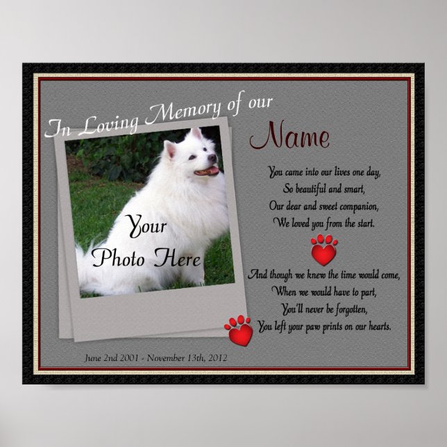 Paw Prints on My Heart Pet Memorial - Dog Cat (Front)