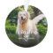 Paw Prints On Our Hearts Pet Photo Memorial