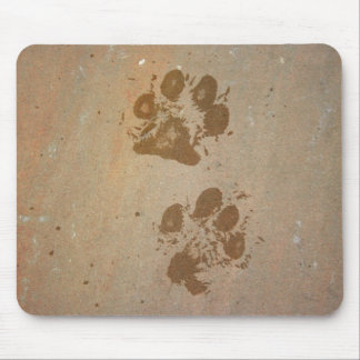 Paw Prints on Stone Mouse Pad