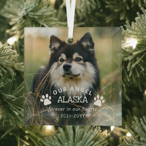 Paw Prints Our Angel Photo Pet Memorial Glass Ornament