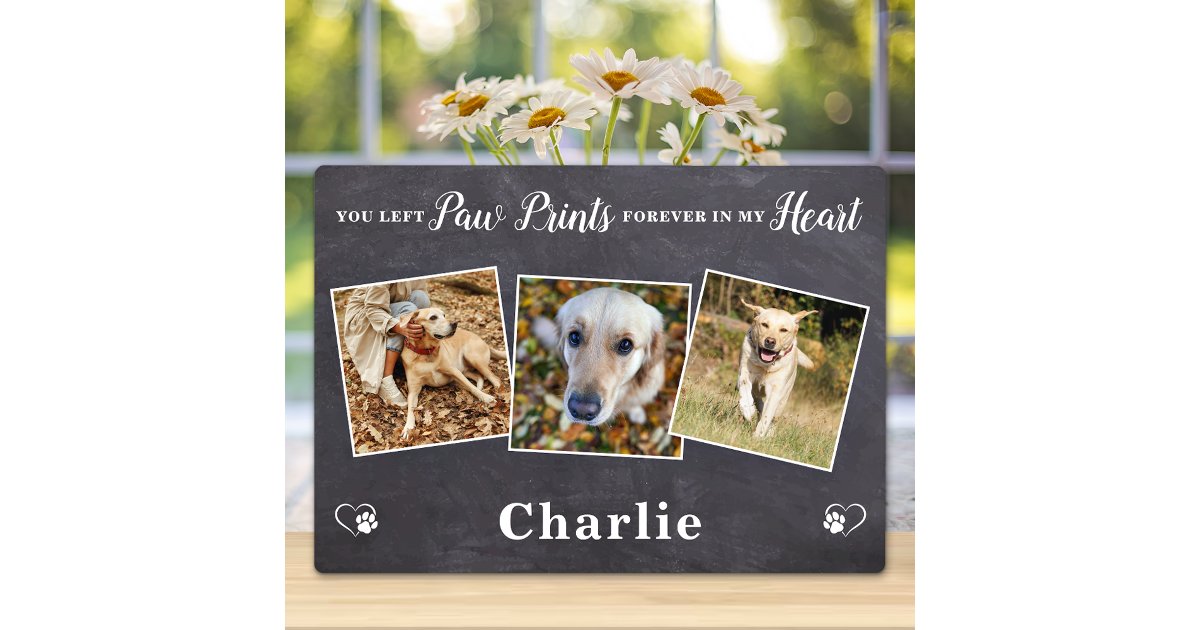 Paw Prints Personalized 3 Photo Dog Pet Memorial Plaque | Zazzle