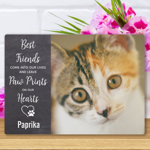 Paw Prints Personalized Photo Pet Cat Memorial Plaque
