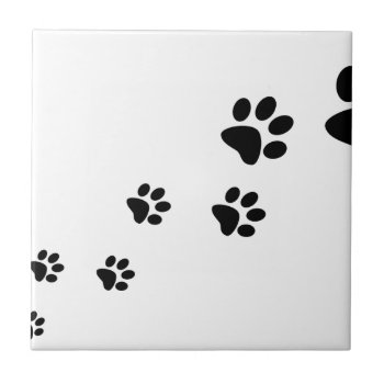 Paw Prints Tile by decodesigns at Zazzle