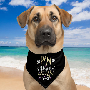 Paw Sitively Adorable Cute saying Pet Bandana Collar