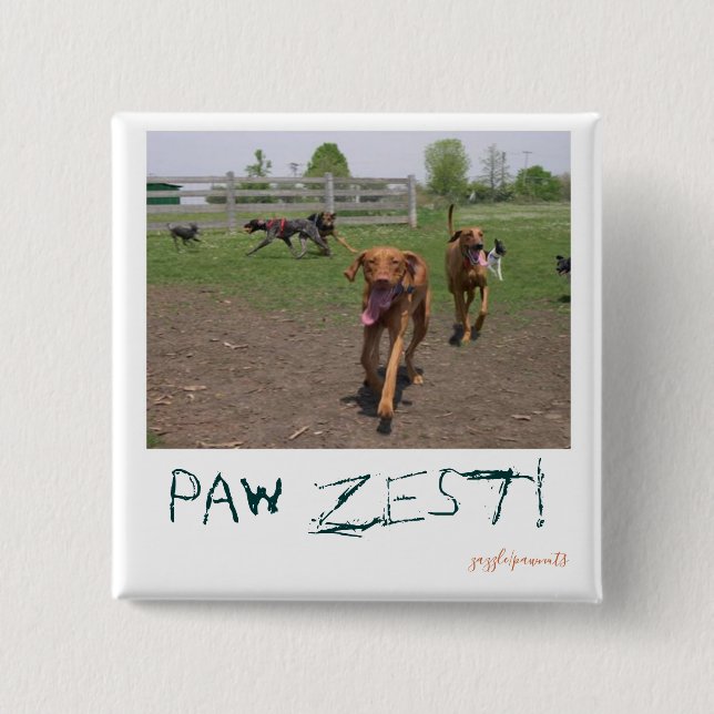 Paw zest! button (Front)
