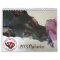 Pawfect Match 2013 Calendar