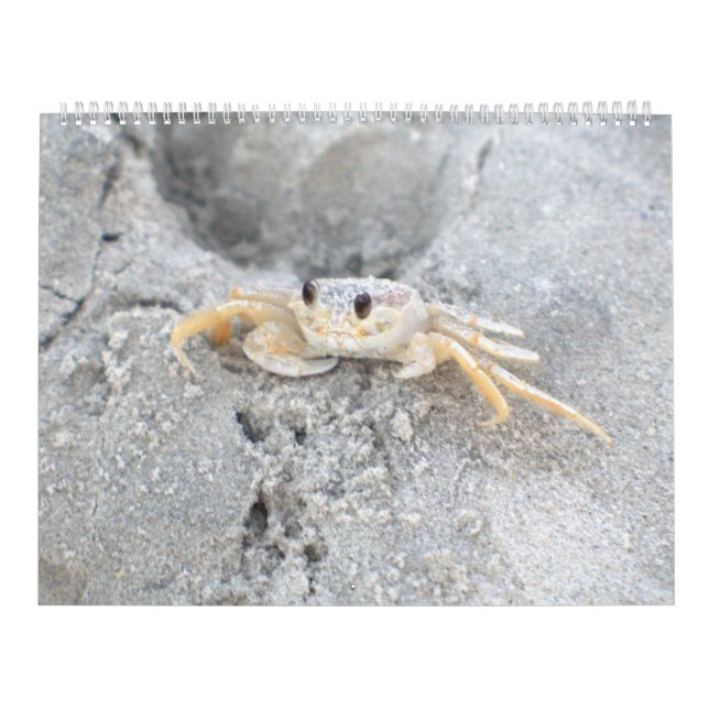 Pawleys Island Large Wall Calendar Design 2 (Cover)