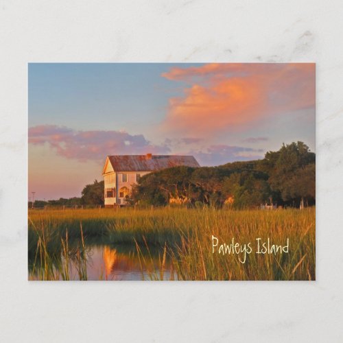 Pawleys Island Pelican Inn Postcard