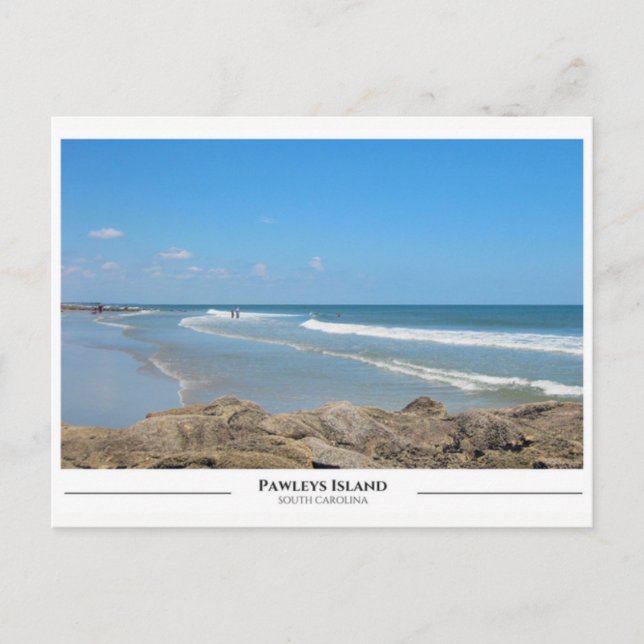 Pawleys Island- South Carolina Postcard (Front)