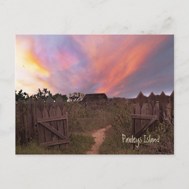 Pawleys Island Sunset Postcard (Front)