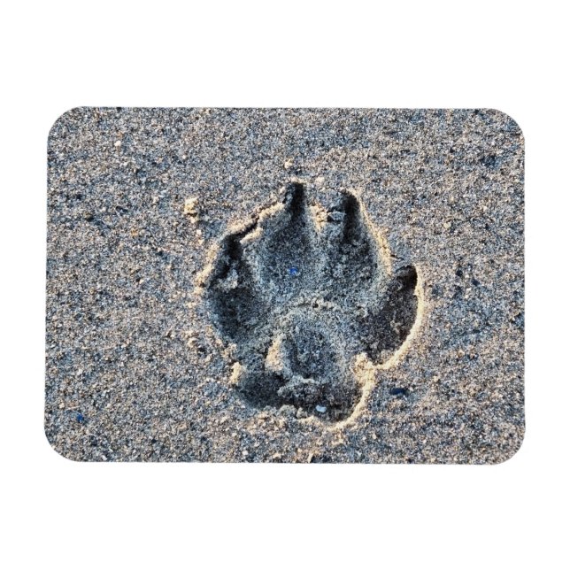 PAWPRINT IN THE SAND   MAGNET (Horizontal)