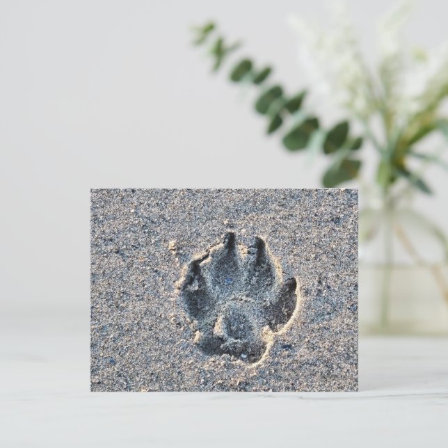 PAWPRINT IN THE SAND POSTCARD (Standing Front)