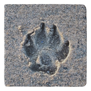 PAWPRINT IN THE SAND TRIVET