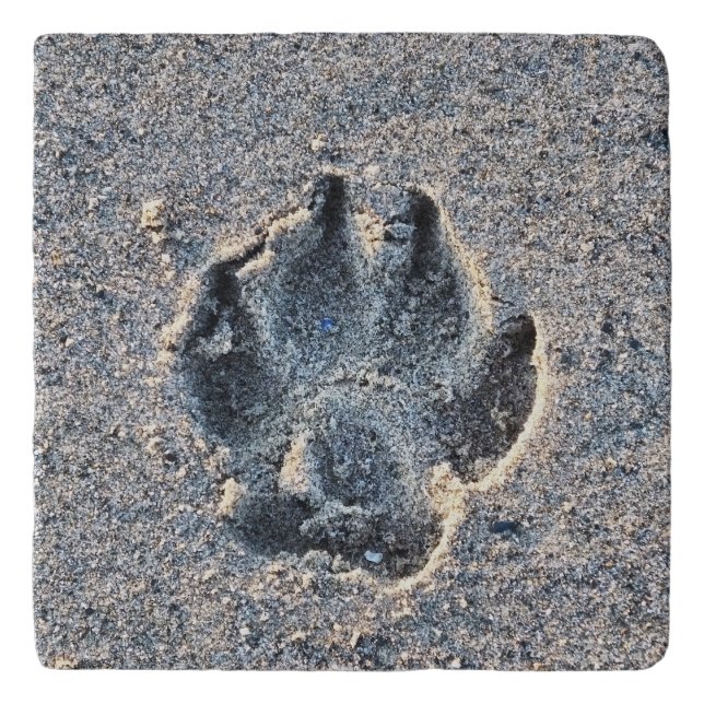 PAWPRINT IN THE SAND    TRIVET (Front)