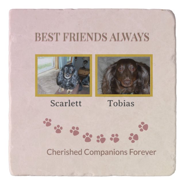 Pawprints of Friendship  Trivet (Front)