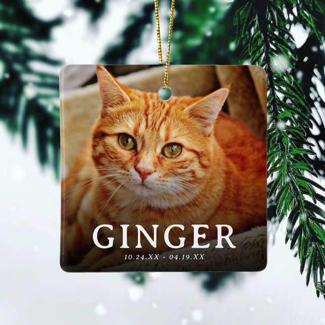 Pawprints on our Hearts  Pet Memorial Cat 2 Photo Ceramic Ornament (Creator Uploaded)