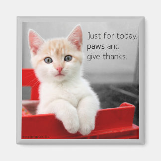 Paws and give thanks magnet