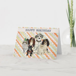PAWS, CLAWS & FEATHERS Birthday Card