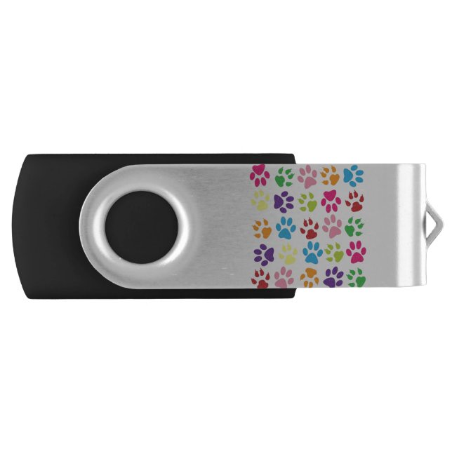 paws flash drive (Front)