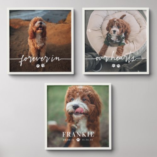 Paws Forever In Our Hearts 3 Pet Photo Memorial Peel And Stick Photo Tile