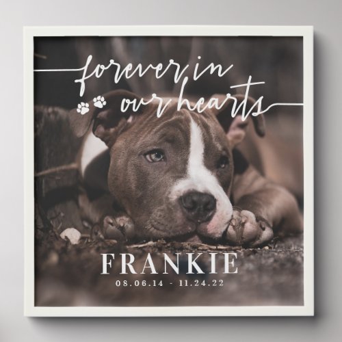 Paws Forever In Our Hearts Pet Photo Memorial Peel And Stick Photo Tile