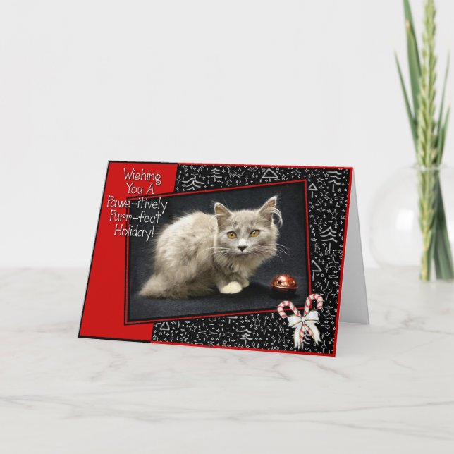 Paws-itively Purr-fect Holiday! (Fennel) Holiday Card (Front)