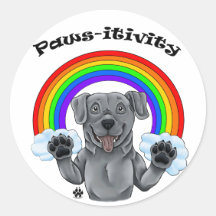 Paws-itivity