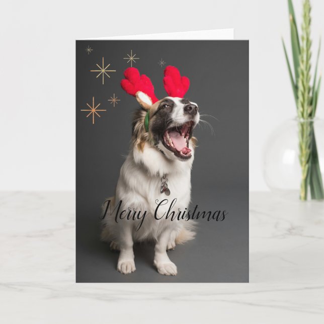 Paws & Joy: Adorable Dog "Merry Christmas" Card (Front)
