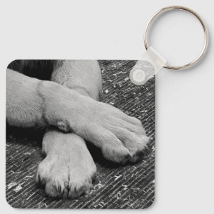 Paws Keychain