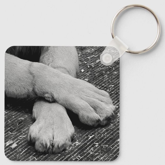Paws Keychain (Back)