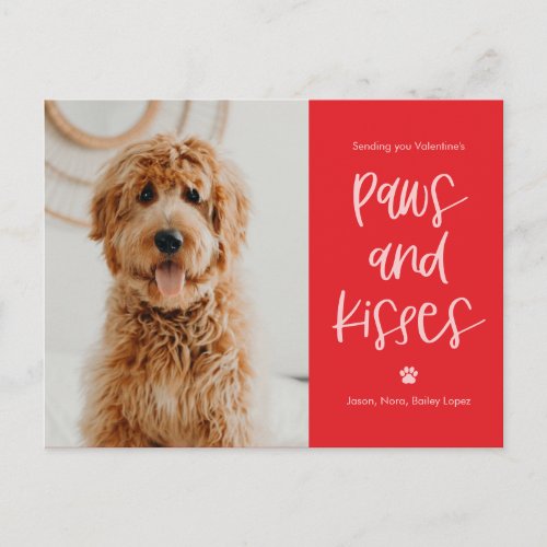 Paws Kisses Pets Valentines Day Postcard