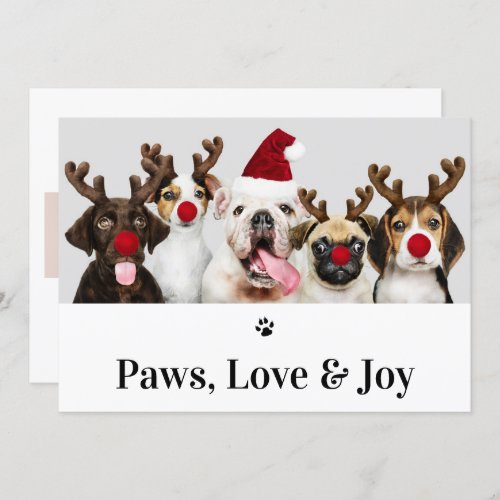 Paws Love and Joy Dog Christmas 5 Photo Card