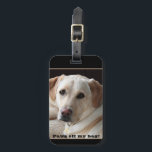 Paws Off My Bag Yellow Lab Retriever Luggage Tag<br><div class="desc">This luggage tag has a close-up headshot of a purebred Yellow Labrador Retriever dog that you can change out to have your pet on it instead. There is customizable text that says, "Paws off my bag!" on it. It would make a funny gift for a Lab Mom or Dad or...</div>