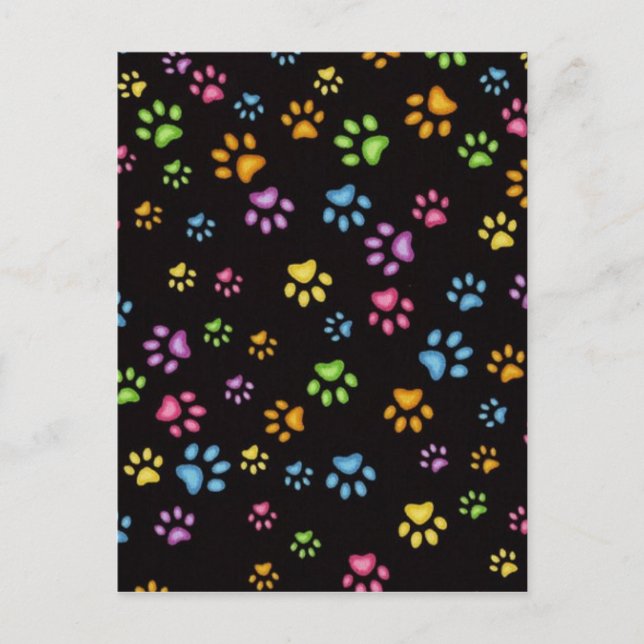 Paws Postcard (Front)