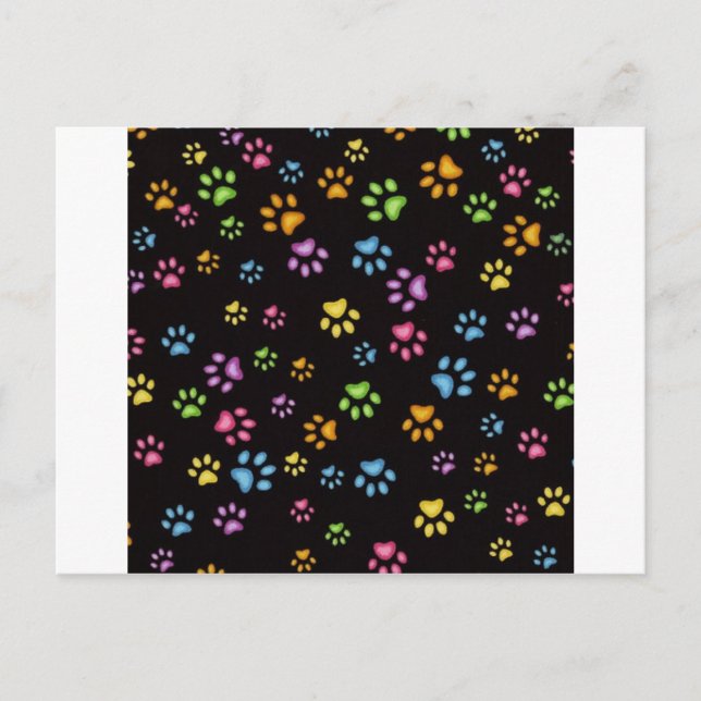 Paws Postcard (Front)