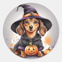 Paws & Potions: Dachshund Witch on a Pumpkin