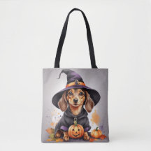 Paws & Potions: Dachshund Witch on a Pumpkin