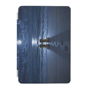 Paws to Boots Moonlight ipad mini cover