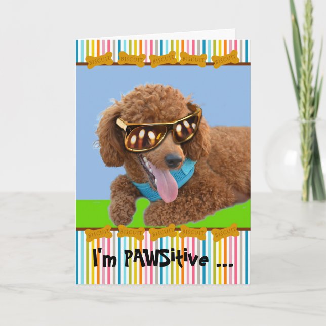 Pawsitive Birthday Red Poodle in Shades Card (Front)