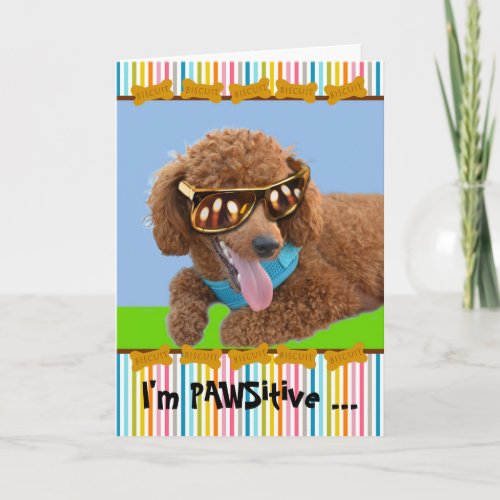 Pawsitive Birthday Red Poodle in Shades Card