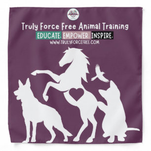 Pawsitive Training Dog Bandana