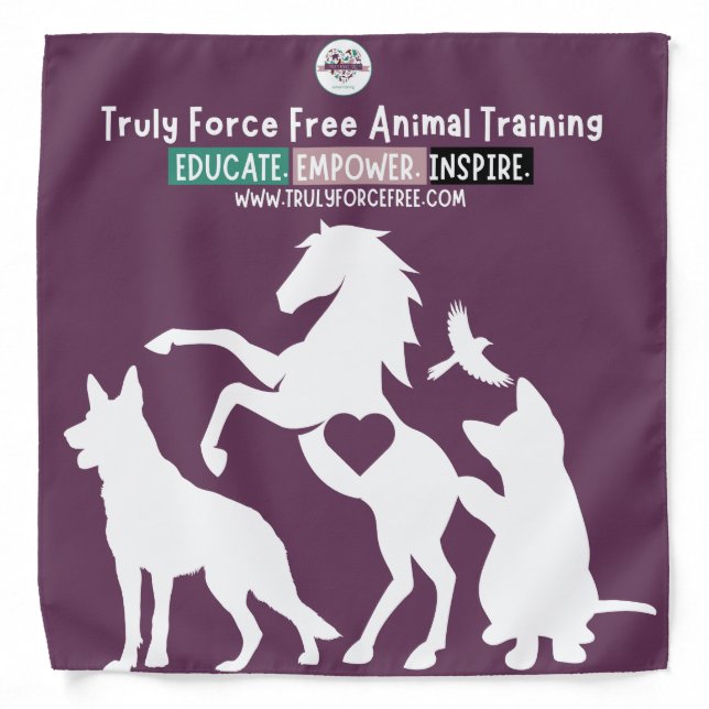 Pawsitive Training Dog Bandana (Front)