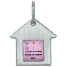 Pawsitive Vibes Framed Pet Tag