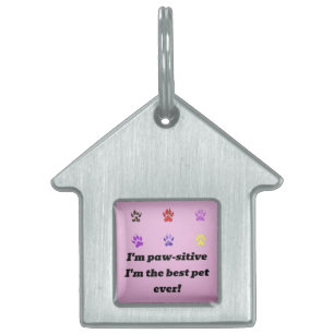 Pawsitive Vibes Framed Pet Tag