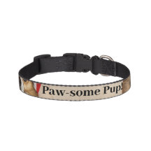 Pawsitive Vibes Pawsome Pup Dog Collar
